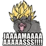 Yo Jamas!