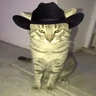 Stickers Mami, soy tu vaquero 🤠