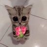 Stickers Gatitos con Flores 💐