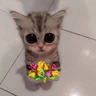 Stickers Gatitos con Flores 💐