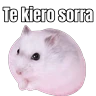 Stickers Memes Hamsters