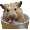 Stickers Hamsters ❤️
