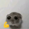 Stickers hamster triste tiktok 
