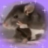 Stickers 🐭Ratitas🐭 