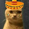 Stickers Mariachi Cats🤠😺✨ 