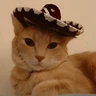 Stickers Mariachi Cats🤠😺✨ 
