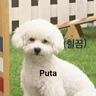 Stickers Pack Enojo Shitpost 😡🤬 
