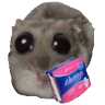 Stickers Ratita Triste