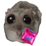 Stickers Ratita Triste