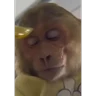 Stickers 😎Barbería - Tiktok Viral😎 