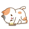 Stickers 🐶•🐾Tonton Friends🐾•🐶 