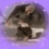 Stickers Ratitas🐁🐭🩶 