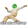 Stickers SE CAYÓ WHATSAPP 🟢📵❎️ 