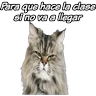 Stickers clases online time 