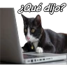Stickers clases online time 