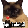 Stickers MICHIS Mix 🐾😻 ➊ 
