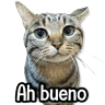 Stickers MICHIS Mix 🐾😻 ➊ 