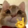 Stickers Gatos 🐱🫶🏻 