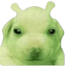 Stickers Doggies Memes 