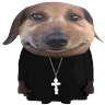 Stickers Doggies Memes 