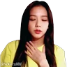 Stickers Jisoo - Blackpink 💗