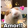 Stickers ❤️ Buenos días Amor 🥰Bza 
