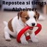 Stickers WhatsApp Stickers 2024 
