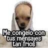 Stickers Reacciones Perritos! 🐕 
