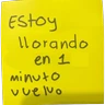 Stickers Estoy ... notitas 📝💛
