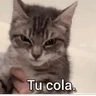 Stickers a ver tu cola 😎memes
