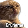Stickers Gatitos pa tu Chat😺💗
