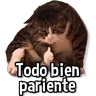 Stickers Gatitos pa tu Chat😺💗
