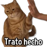 Stickers Gatitos pa tu Chat😺💗
