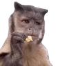 Stickers Monitos para reaccionar 🐵🐒🙈 

