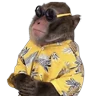 Stickers Monitos para reaccionar 🐵🐒🙈 
