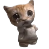 Stickers 🐱 Gato Roblox 💫baile 😹💫 
