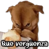 Stickers Michis & Perros #➊ 😹🐶
