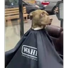 Stickers 😎Barbería - Tiktok Viral😎 
