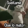 Stickers Randoms pa' Enviar 📽️ #➊ 
