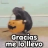 Stickers 🎃 Halloween Pets 🎃 

