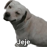 Stickers Waos - Perro con cejas🐶 
