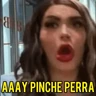 Stickers Perdidas y Las de Apelo  
