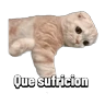 Stickers Michis memes 😹😼 
