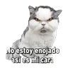 Stickers Michis memes 😹😼 
