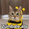 Stickers Gatitos Locos 2😼 
