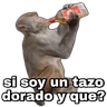 Stickers 🚔 Tazos dorados 🚨 Memes 

