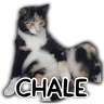 Stickers Memes para tu whats 2️⃣ 🐱 
