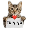 Stickers Michi mensajes gatito 🐱📩 

