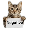 Stickers Michi mensajes gatito 🐱📩 
