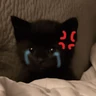 Stickers Gatitos enojados😡🐱 
